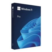 Windows Pro 11 64-bitový český USB