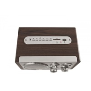 Orava RR-29 A rádio, 1 x 3,5W, AM / FM rádio, USB, AUX vstup, SD karta, hnědá / stříbrná